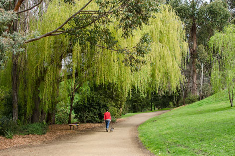 Walking through a green park in Hobart, Tasmania