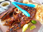 Tikinxic fish from Playa Lancheros on Isla Mujeres